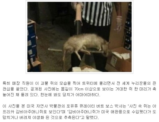 경약 이미지