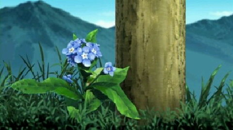 그날에;꽃 이미지