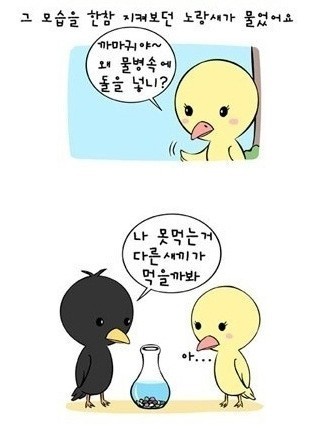 Tini Tini 티니티니 이미지