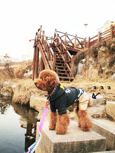 똥튀 이미지
