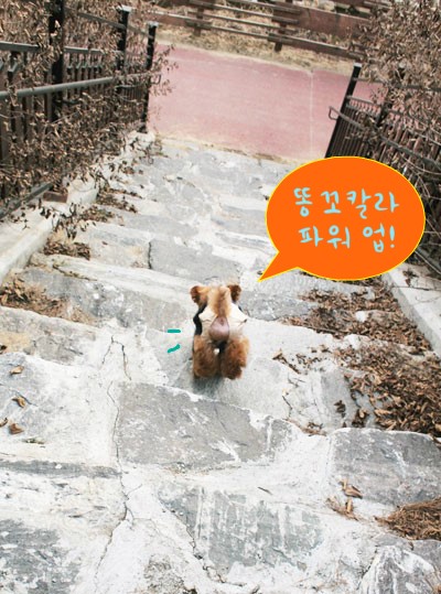 똥튀 이미지