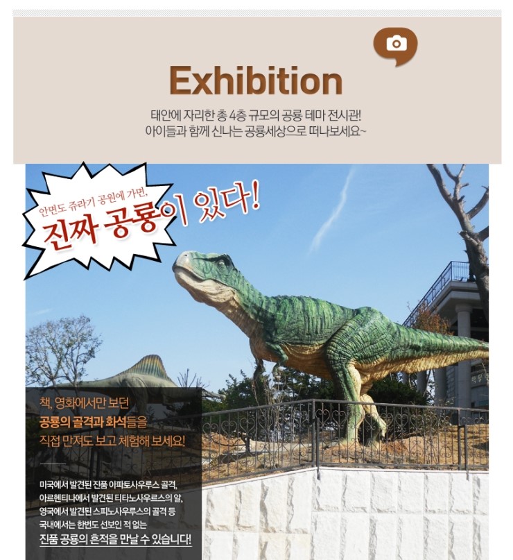 쥬라기체험 이미지