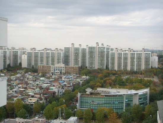 삼익주 이미지