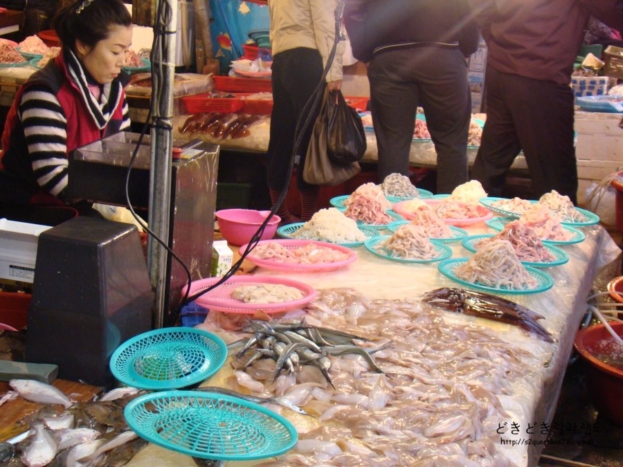 막썰어회도매센타 이미지