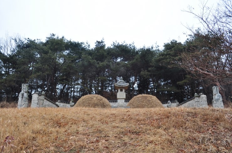 숙정씨 이미지