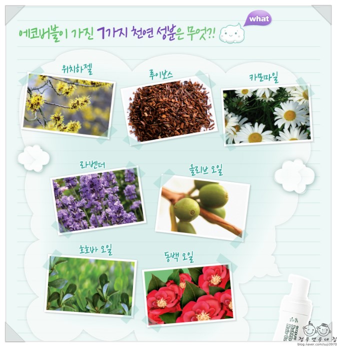 버블버블에코그린 이미지