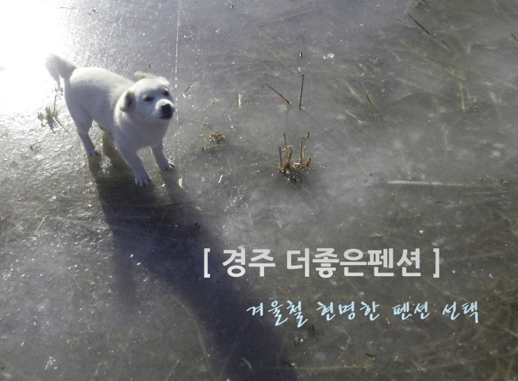 더조은펜션 이미지