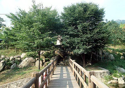 장령산자연휴양림 이미지