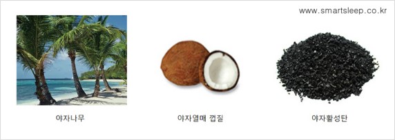 야자 이미지