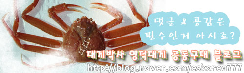포장박사 이미지