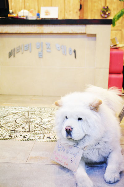 베버리힐즈헤어샵 이미지