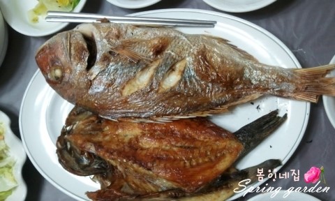 빙그레식당 이미지