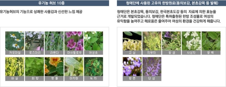 아톰미 이미지