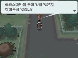 화이트드래곤 이미지