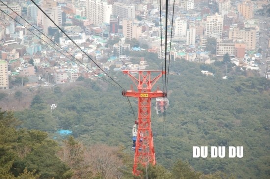 금강카 이미지