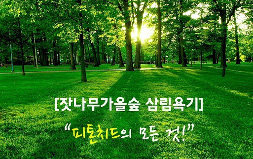잣나무집 이미지
