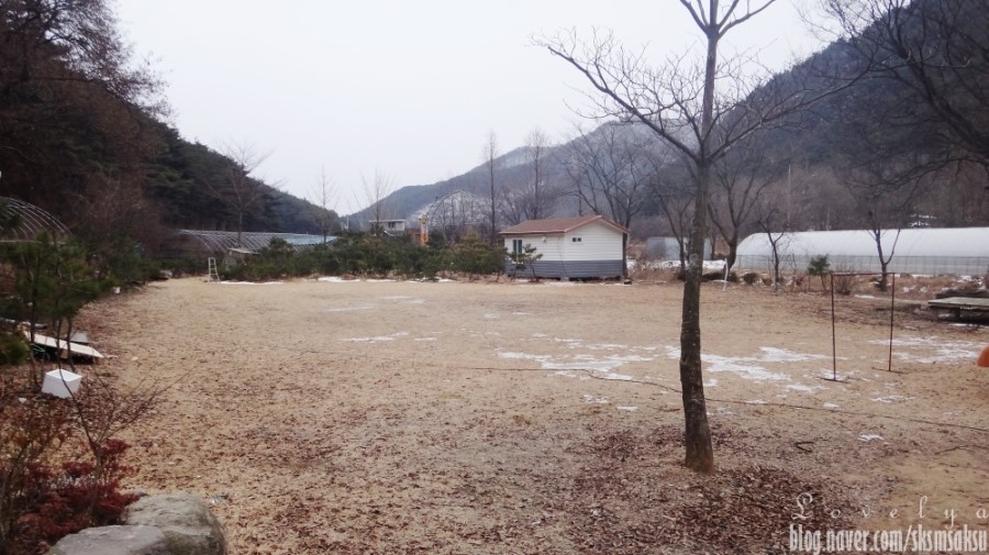 강천산휴양농원 이미지