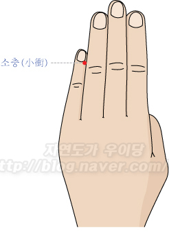콕 찝어 알아둬야 할 사혈침 혈자리 7선 : 네이버 블로그