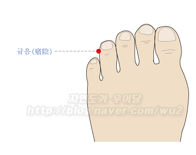 콕 찝어 알아둬야 할 사혈침 혈자리 7선 : 네이버 블로그