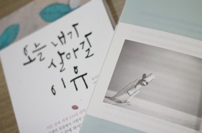 위지안 이미지
