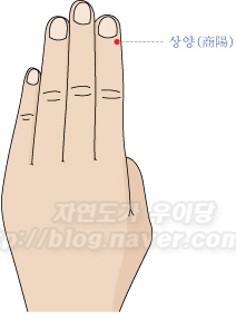 콕 찝어 알아둬야 할 사혈침 혈자리 7선 : 네이버 블로그