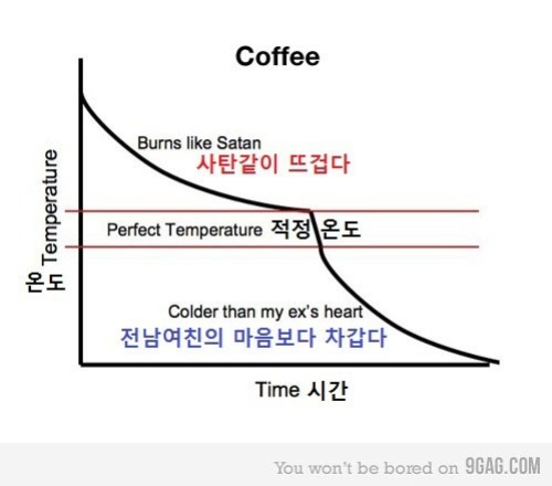 사진의온도 이미지