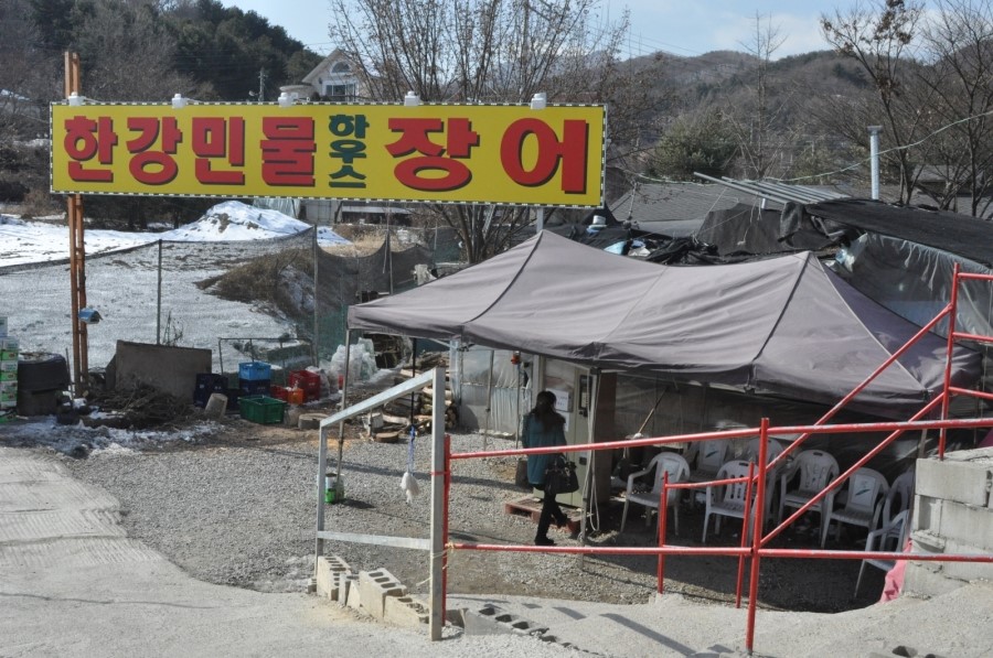 낭만민물장어 이미지