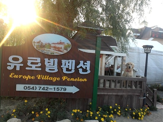 유로빌 이미지