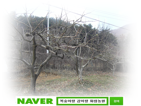 화림농원 이미지
