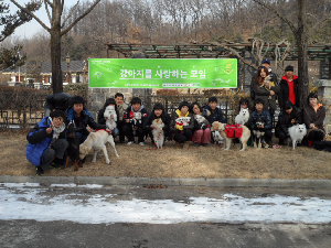 헤이올리브 이미지