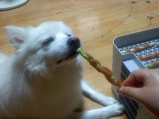 꼬꼬향기 이미지