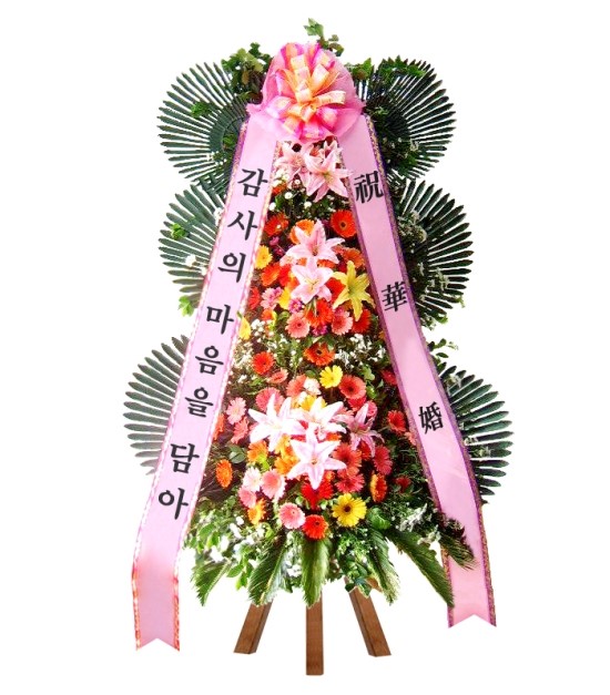 파란꽃배달조경 이미지