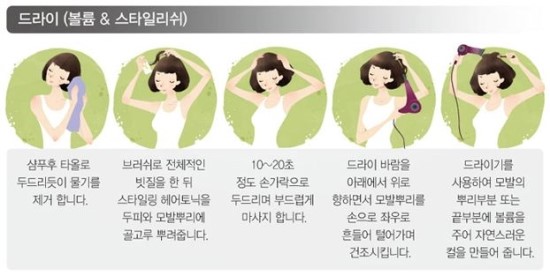 에스헤어 이미지