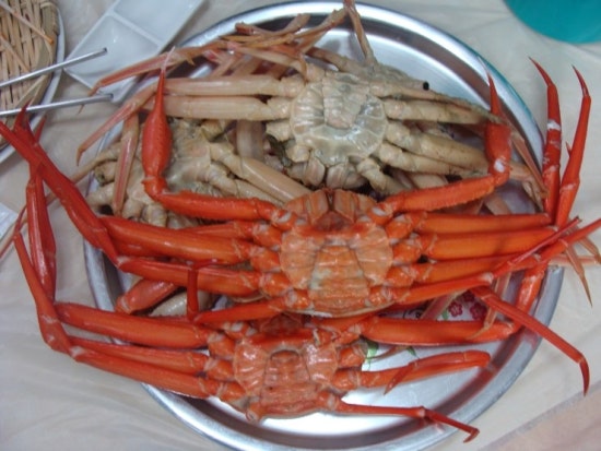 카네기2 이미지