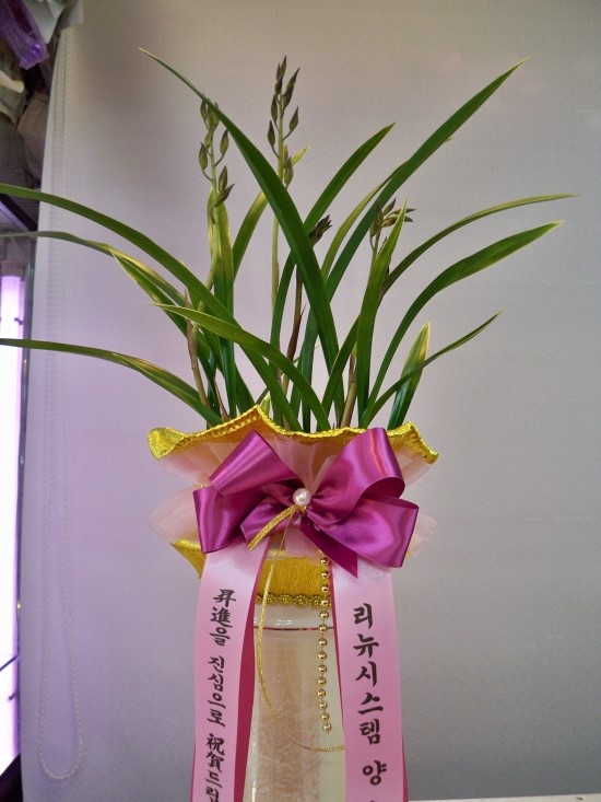 예서플라워 이미지