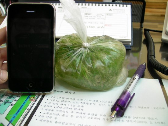 헤어그라스 이미지