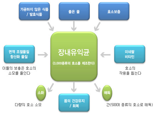 주식회사 에바다 이미지