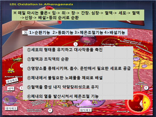숨쉬는 피부 이미지