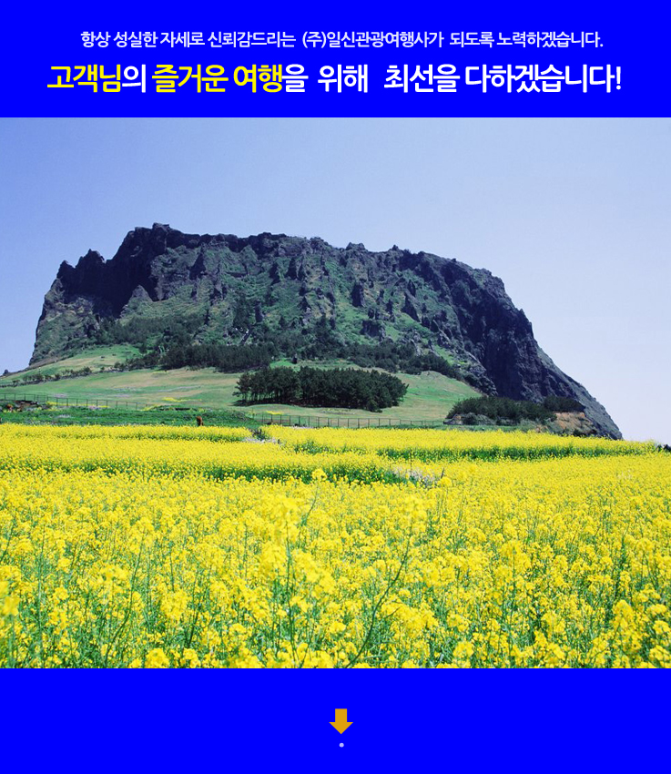일신관광여행사 이미지