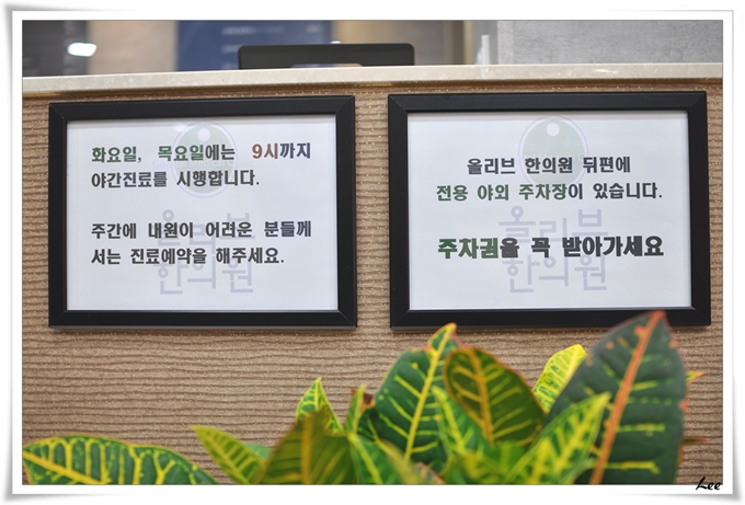 올리브한의원 이미지