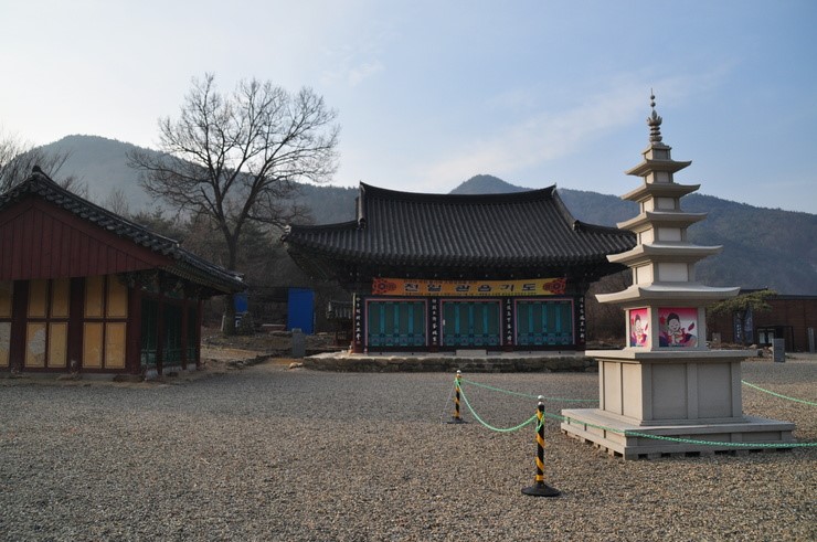 대진관광여행사 이미지