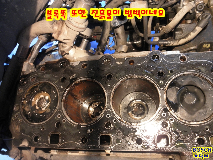 닥터리빌트 이미지