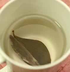 주식회사 에바다 이미지