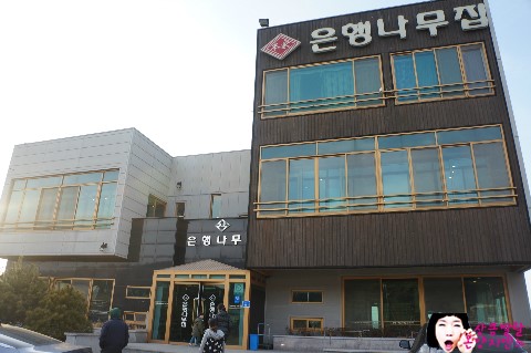 본가은행나무집 이미지