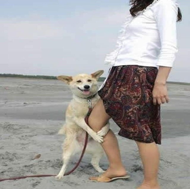 문어이야기 이미지