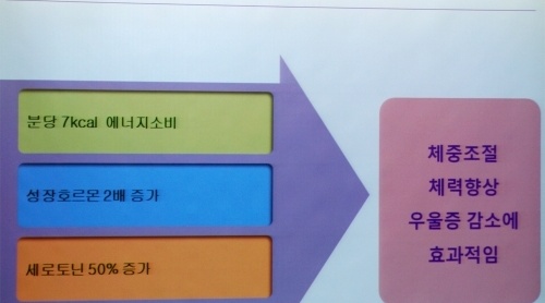 월드짐헬스클럽 이미지