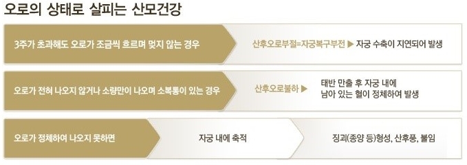 사과나무한의원 이미지
