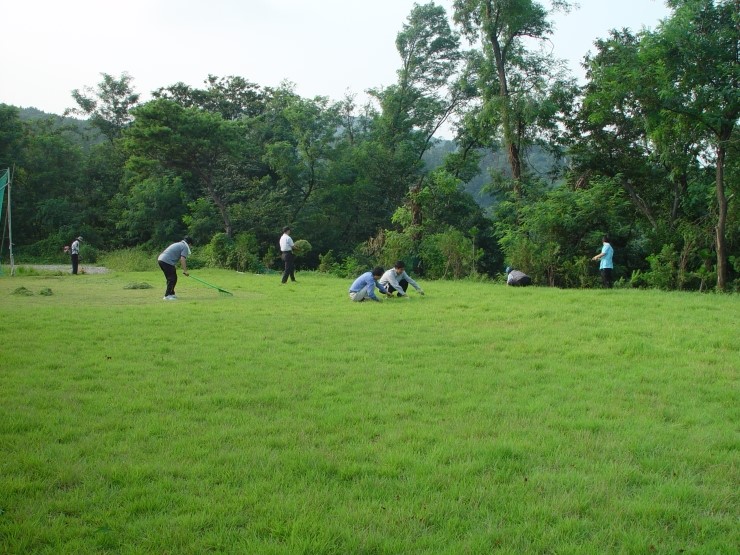 동산잔디 이미지