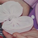 비비슈 이미지