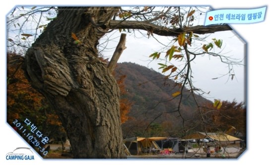 에브라임캠핑장 이미지